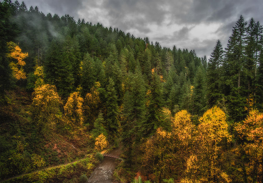 Fall at Silver Falls Photograph by Dennis Bucklin