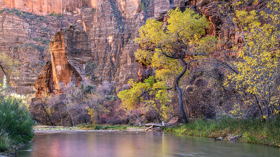 Nature Photograph - Fall at Sinawava Temple Zion Utah by Pierre Leclerc Photography