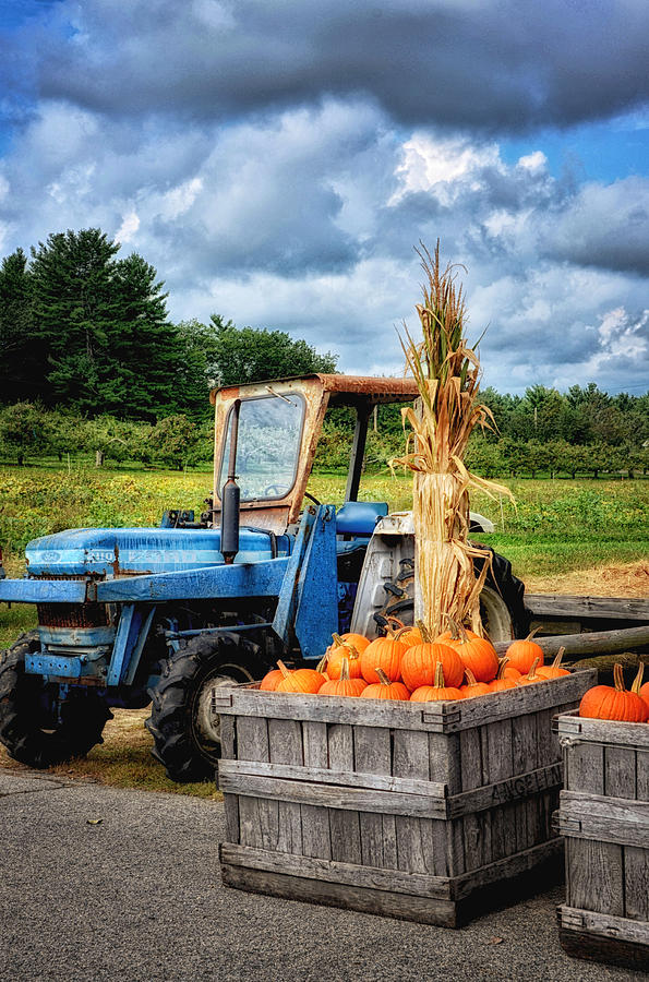 Fall At The Farm Photograph by Tricia Marchlik