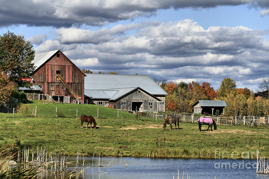 Fall At The Horse Farm Photograph by Deborah Benoit