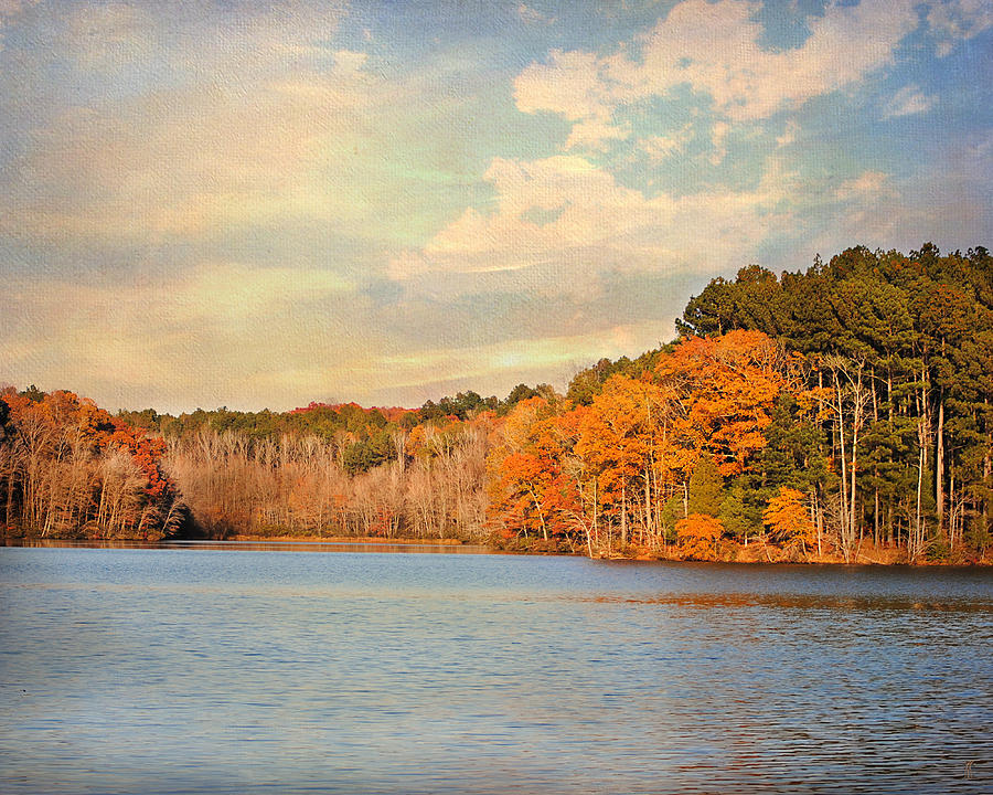 Fall at the Lake II Photograph by Jai Johnson