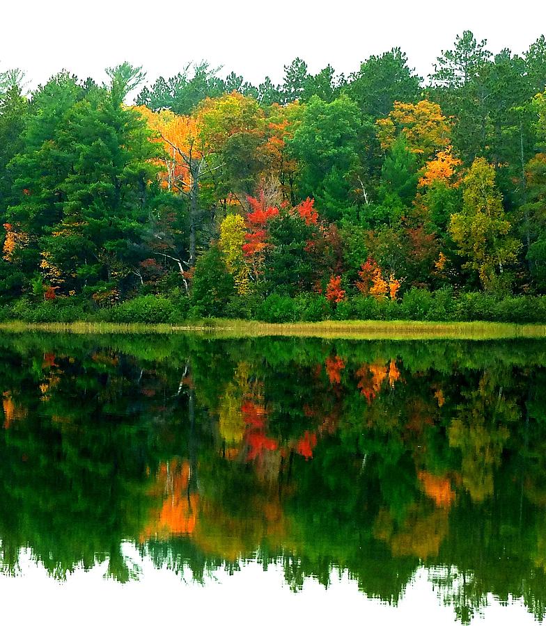 Fall at the Lake Photograph by Jill Edwards - Fine Art America