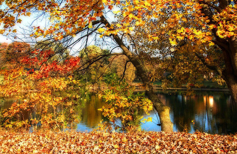 Fall at the Pond 1 Photograph by Lynn Bauer - Fine Art America