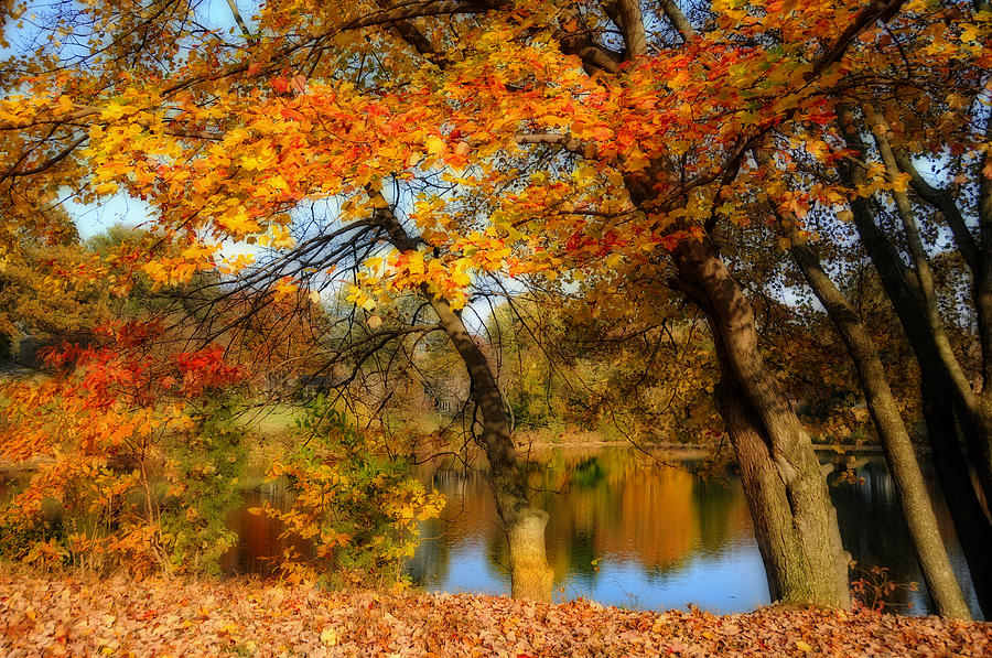 Fall Photograph - Fall at the Pond 2 by Lynn Bauer