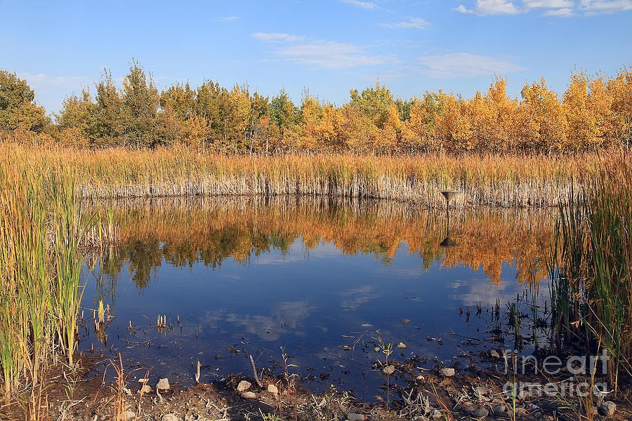 Fall At The Pond Photograph by Teresa Zieba