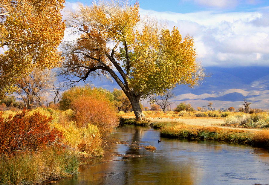 Fall At The River Photograph by Marilyn Diaz