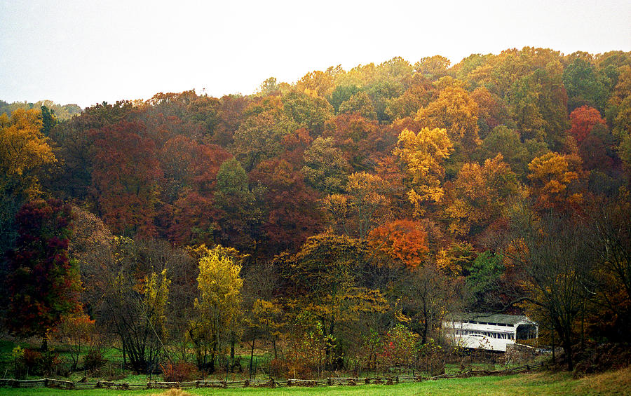 Fall Photograph - Fall At Valley Forge by Skip Willits