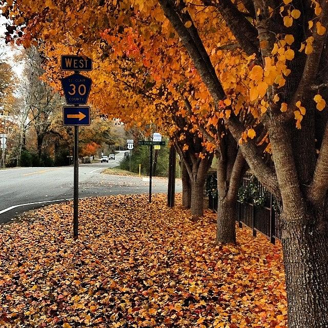 Fall Photograph - #fall #autumn #leaves #mathewsmanor by Celeste Zapata