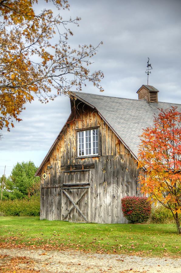 Fall Barn Photograph by Donna Doherty