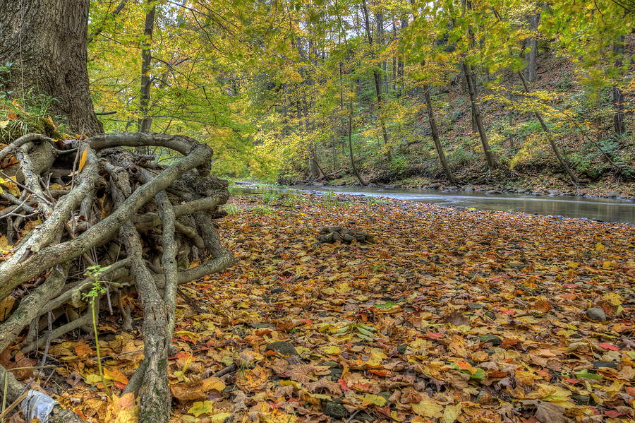 Fall Beauty at Beaver Creek Photograph by David Dufresne