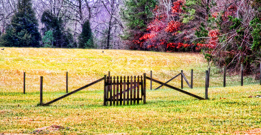 Fall Behind the Fence by Diana Sainz Photograph by Diana Raquel Sainz
