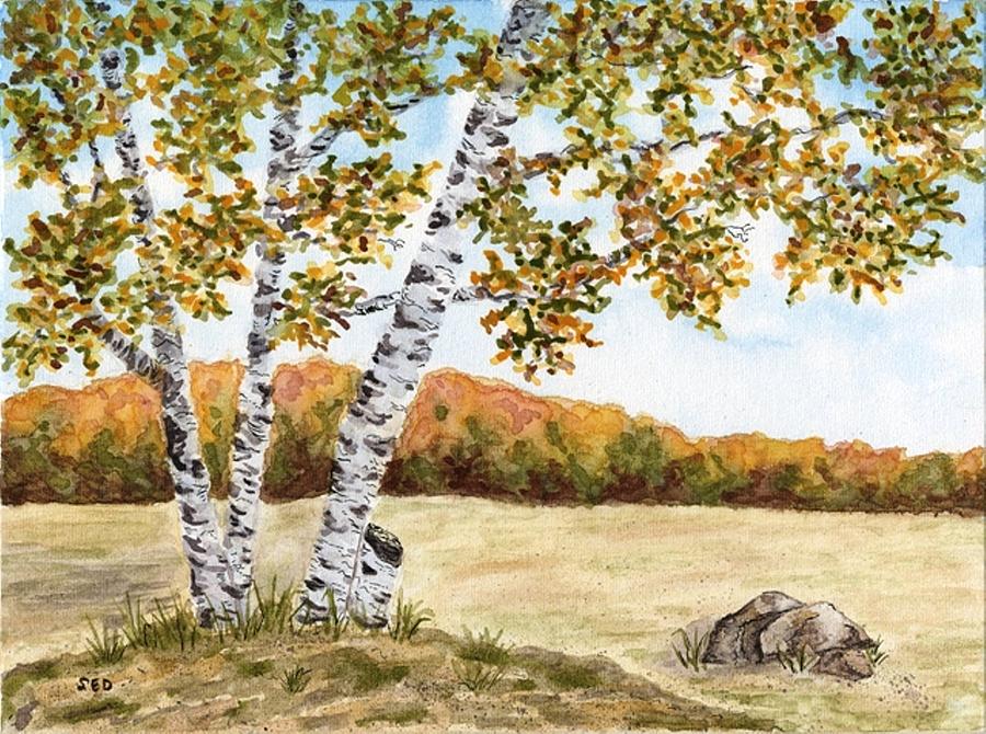 Fall Painting - Fall Birch by Sara Davenport