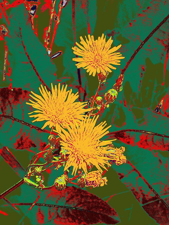 Fall Bloom Digital Art by Tg Devore