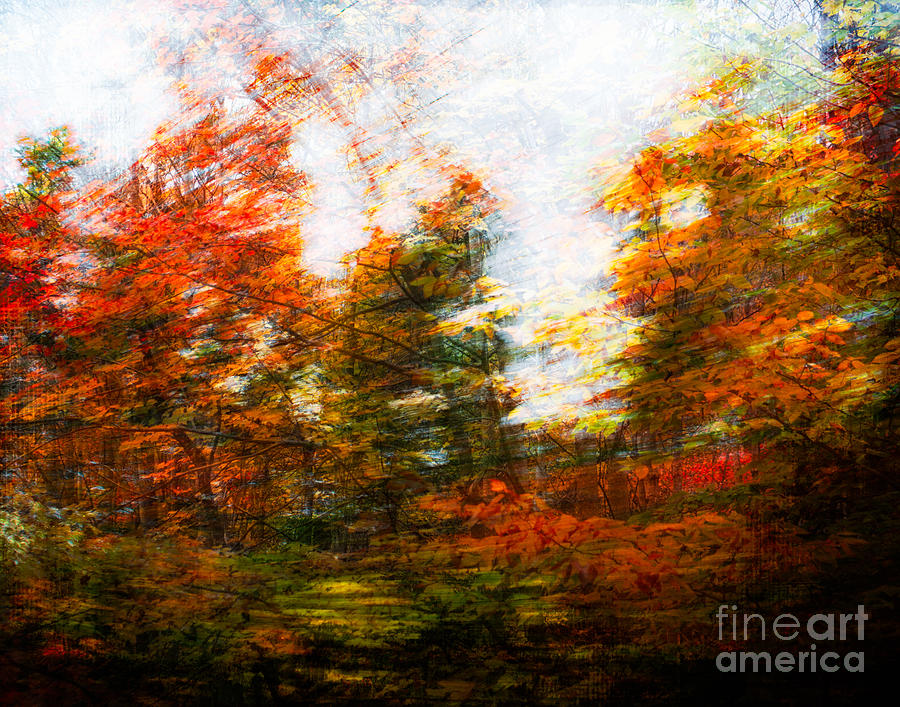 Fall Blur Photograph By Sonja Quintero - Fine Art America