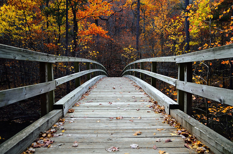 Fall Bridge Photograph by Kurt Jones - Fine Art America