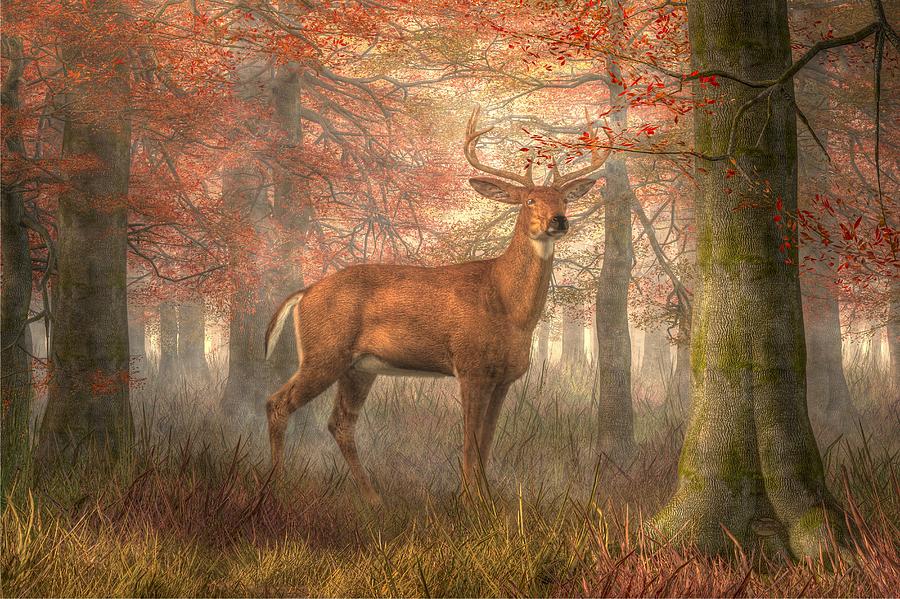Fall Buck Digital Art by Daniel Eskridge