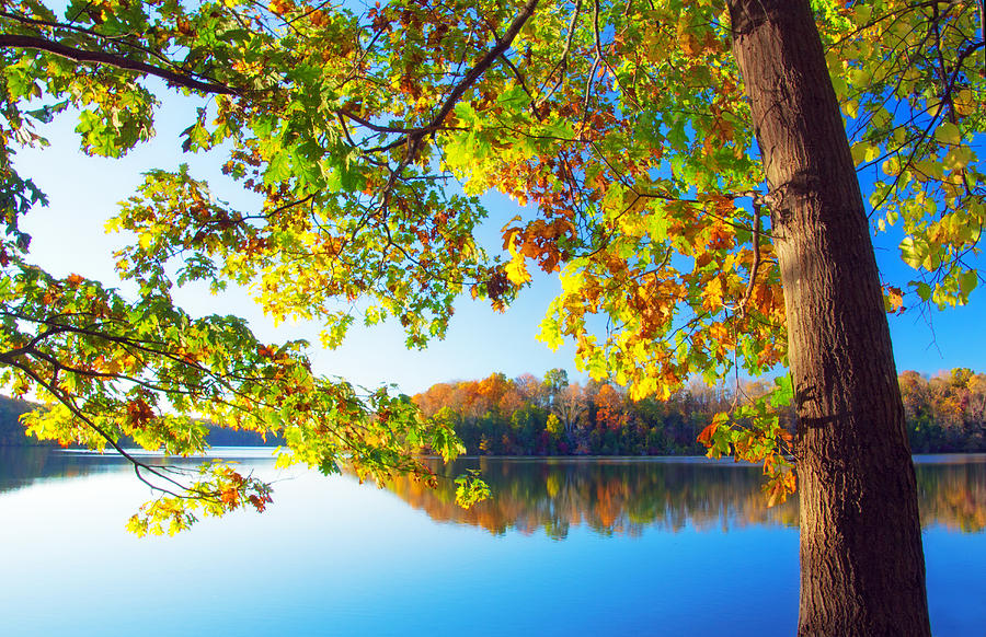 Fall by the Lake Photograph by Carolyn Derstine