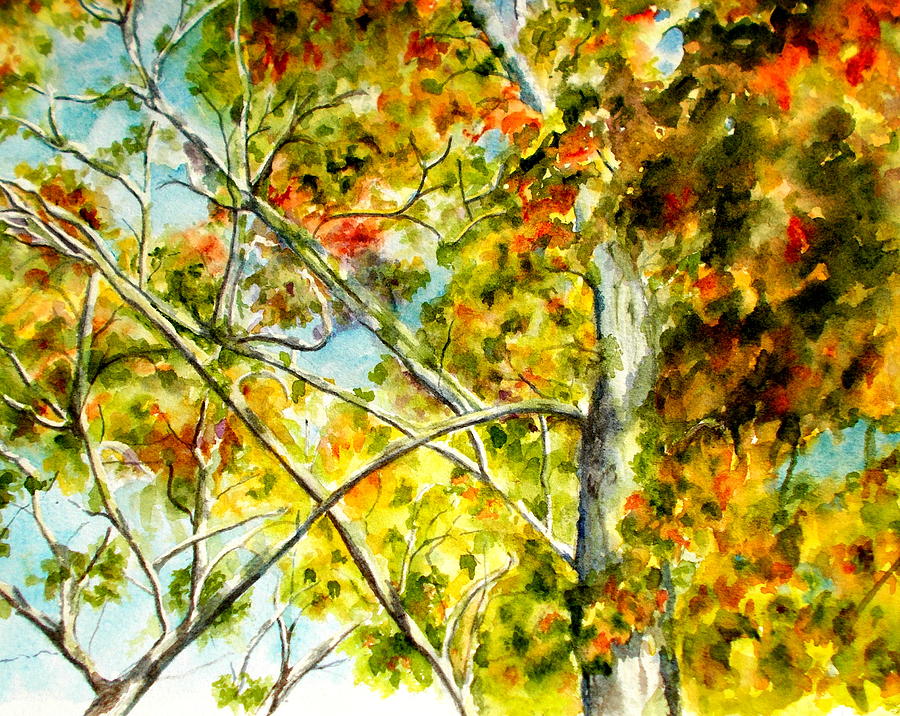Fall Canopy Painting by Nicole Curreri