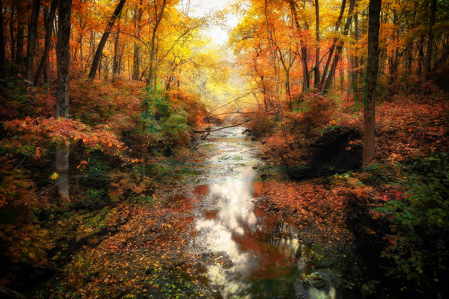 Fall canvas Photograph by George Saad - Fine Art America