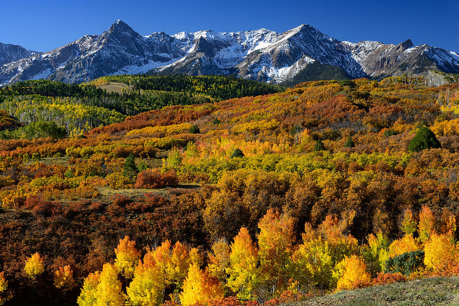 Fall Color Along The Dallas Divide Photograph By Rendell B - Fine Art 