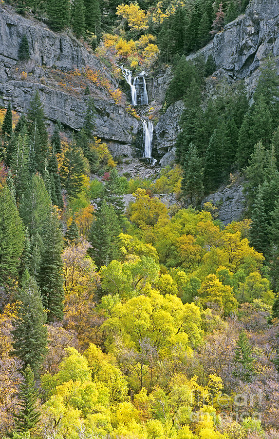 Fall Color and Waterfalls in Provo Canyon Utah Photograph by Dave Welling