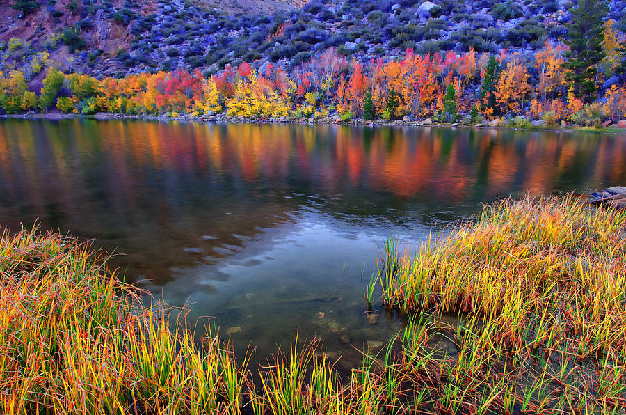 Fall Color at Dusk along North Lake Photograph by Scott McGuire
