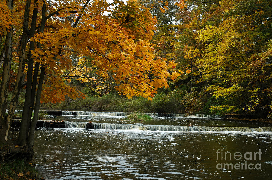Fall Color At The River Photograph