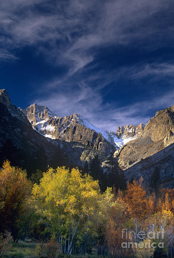Fall Color Below Middle Palisades Glacier Eastern Sierras California Photograph by Dave Welling