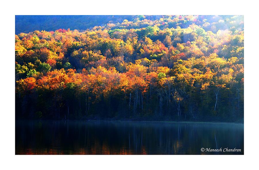 Nature Photograph - Fall Color by Maneesh Chandran
