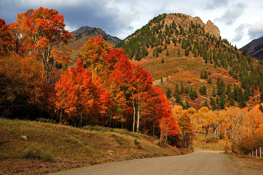 Fall Color on Last Dollar Road Photograph by Daniel Woodrum