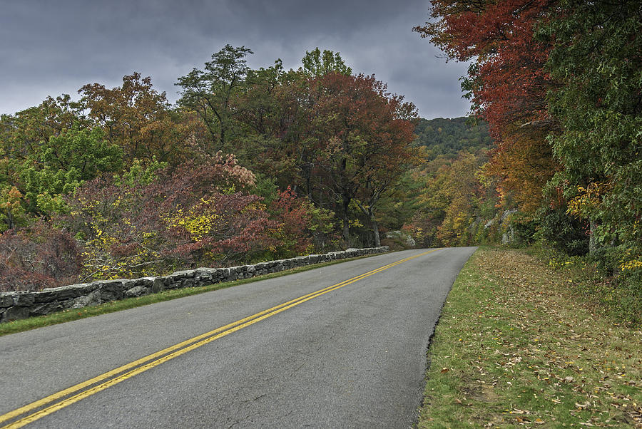 Fall Color on the Blue Ridge Parkway   North Carolina Photograph by Willie Harper