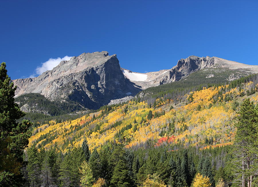 Fall Color on the Mountain Photograph by Tim Nielsen - Fine Art America