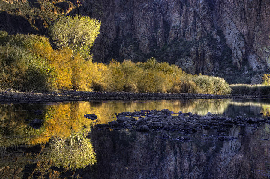 Phoenix Photograph - Fall color refections by Dave Dilli