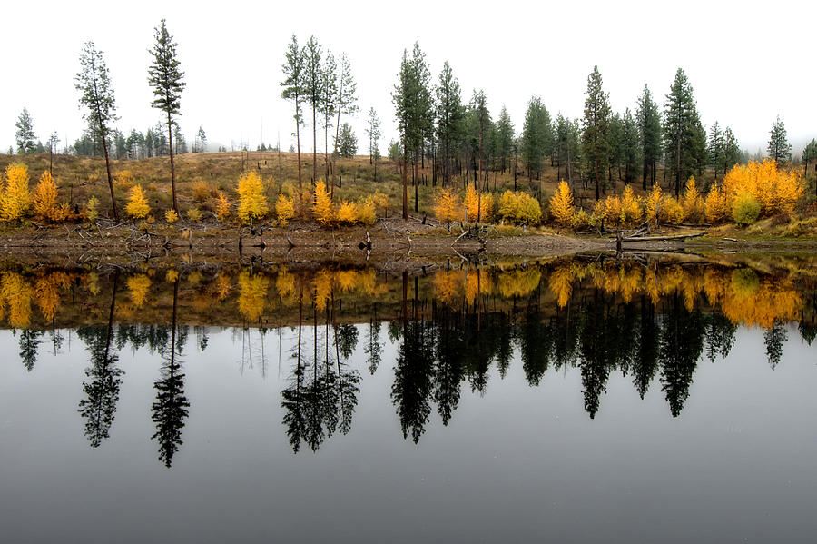 Fall Color Reflection Photograph by Allan Van Gasbeck