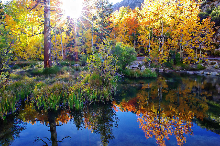 Fall Color Reflection along Bishop Creek Photograph by Scott McGuire