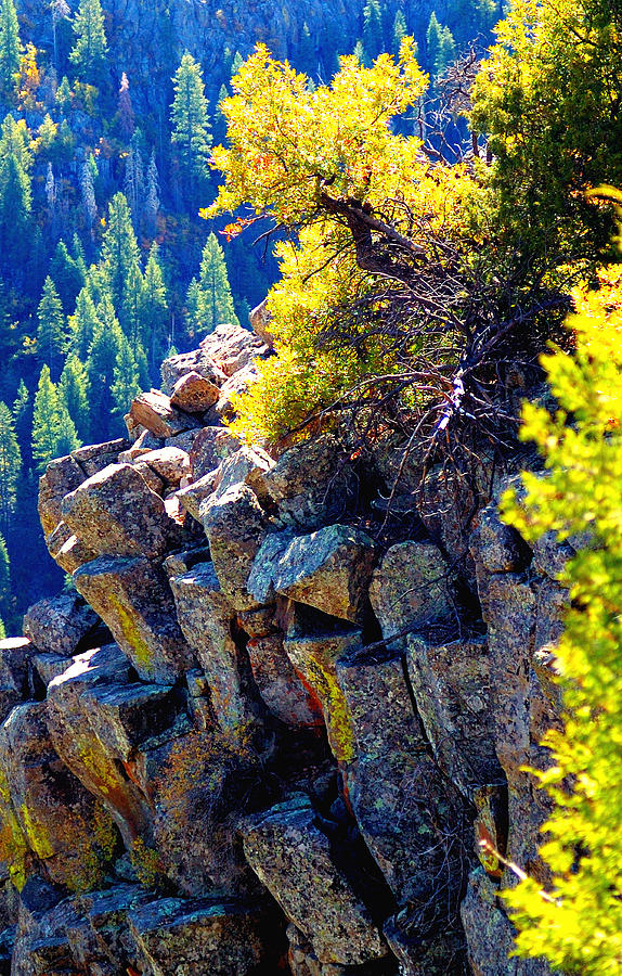Fall Color Rocks 23542 Photograph by Jerry Sodorff