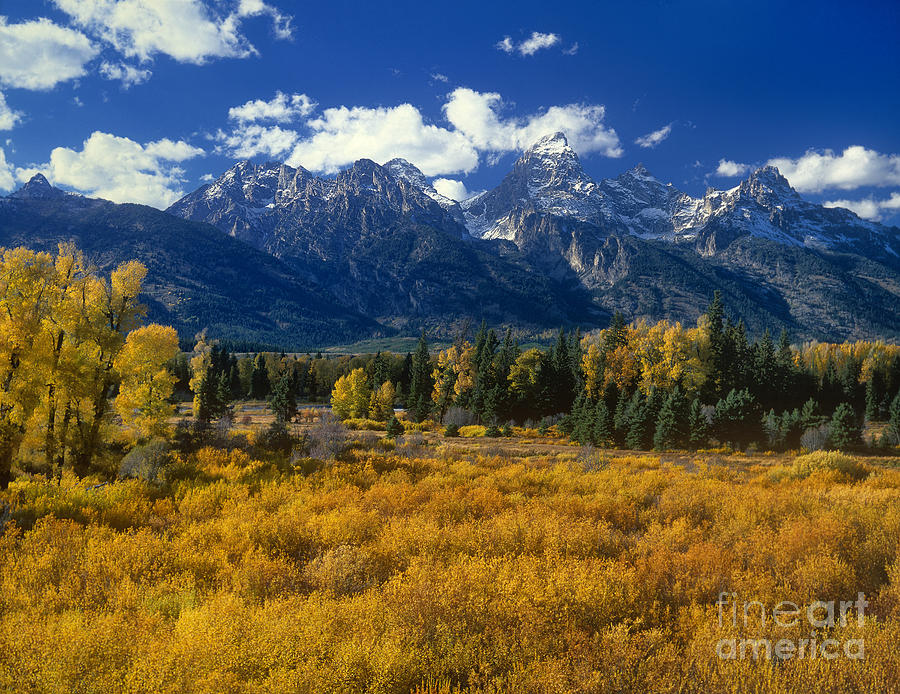 Fall Color Tetons Blacktail Ponds Grand Tetons Nationa Photograph by Dave Welling