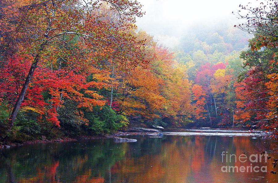 Fall Color Williams River Photograph by Thomas R Fletcher