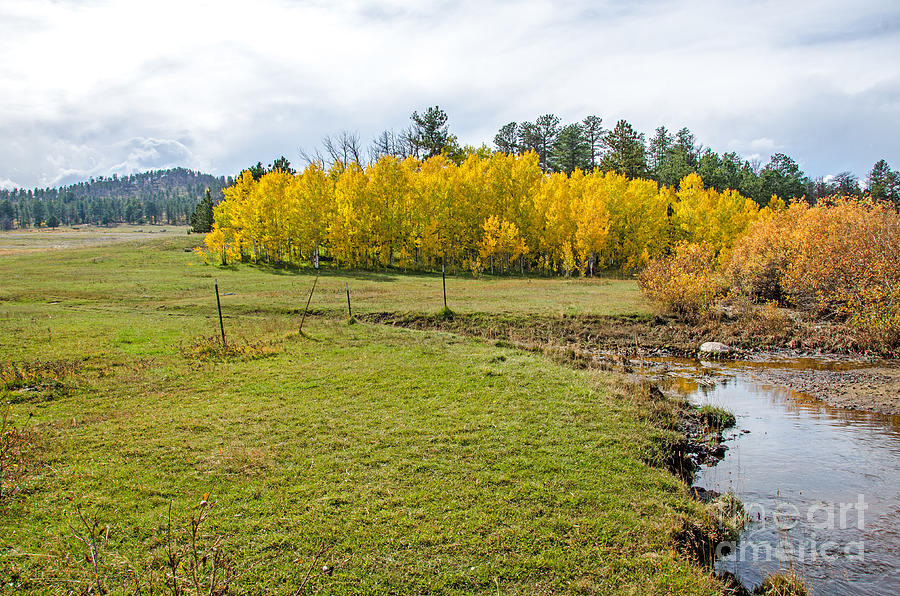 Fall Colorado Photograph by Baywest Imaging