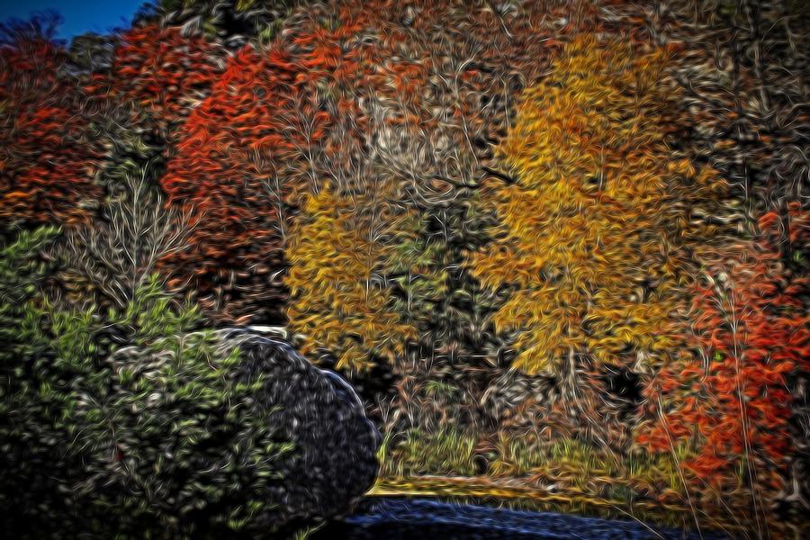 Fall Colors Air Brush Photograph by Judy Vincent