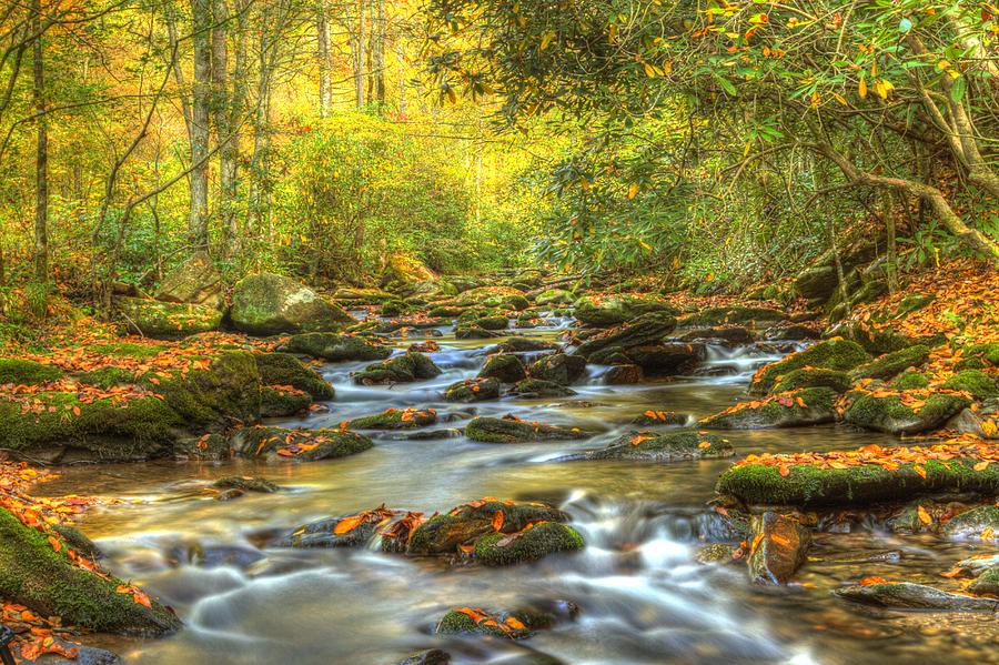 Fall Photograph - Fall Colors along a Tennessee Stream by Cynthia Kidwell