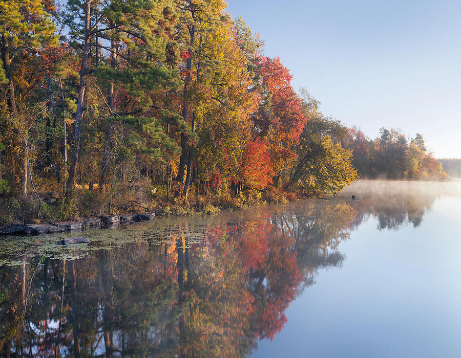 Fall Colors Along Lake Bailee In Petit Photograph by Tim Fitzharris