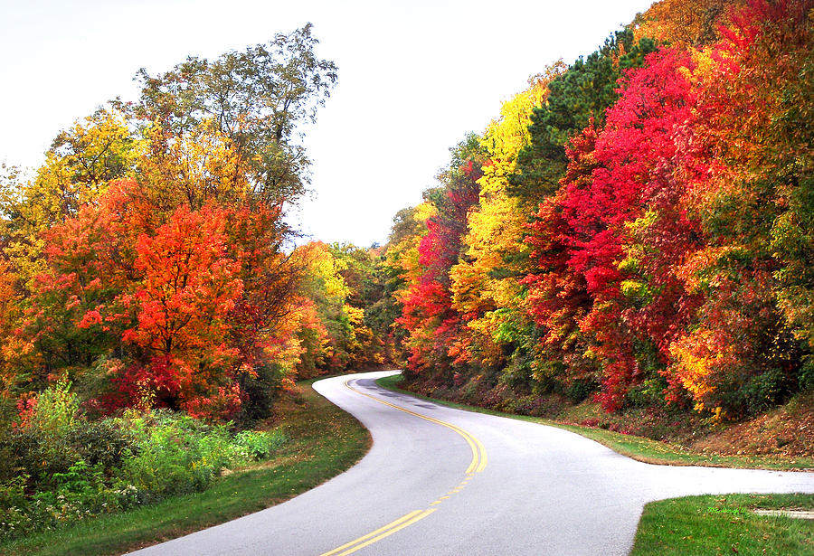 Fall Colors along the Blueridge Parkway Photograph by Duane McCullough