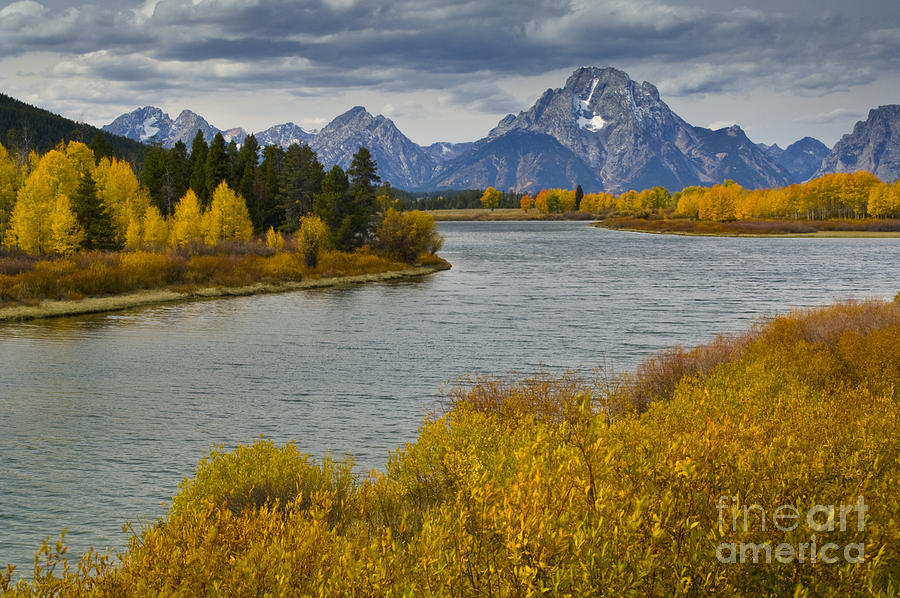 Fall Colors Along The Snake River At Oxbow Bend Photograph By Gary