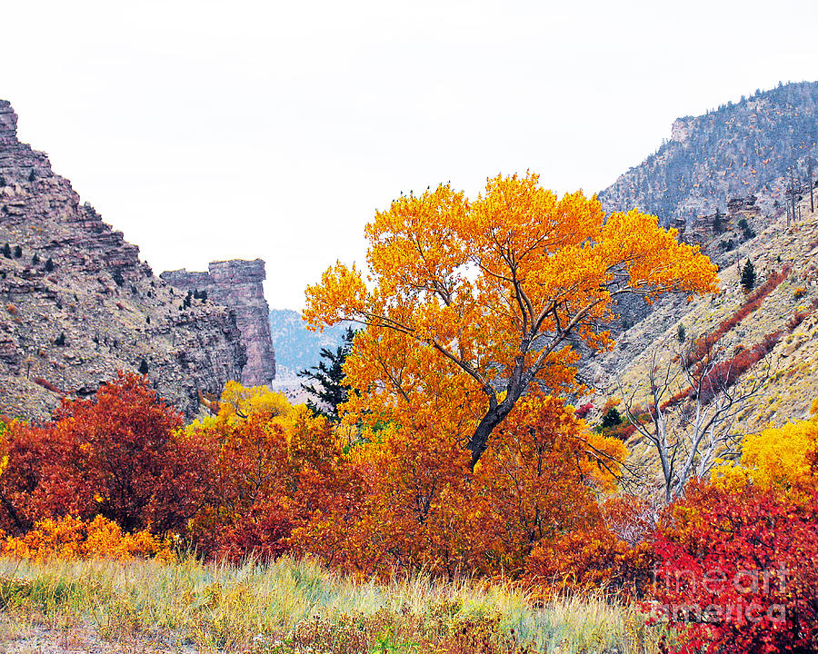 Fall Colors and Castle Gate Photograph by Malcolm Howard