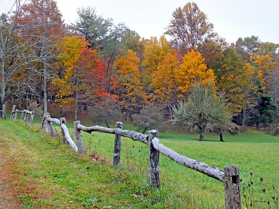 Fall Colors and Old Fence Photograph by Duane McCullough