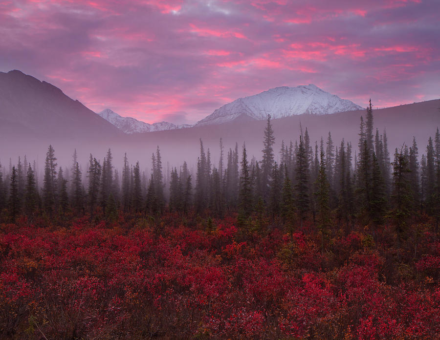 Fall Colors And Sunrise Photograph by Adria  Photography