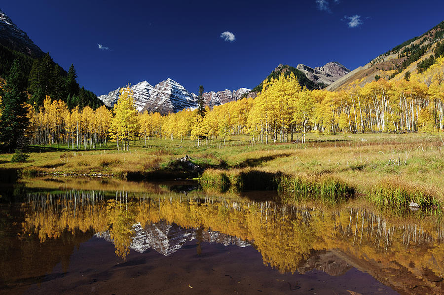 Fall Colors At Colorado Photograph by Piriya Photography