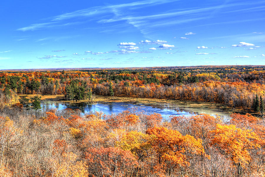 Fall Colors at Itasca State Park Photograph by Shawn Everhart