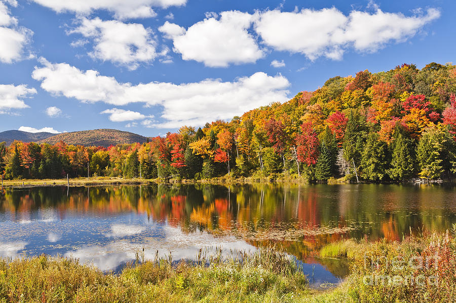 Fall Photograph - Fall Colors At Long Pond by Alan L Graham
